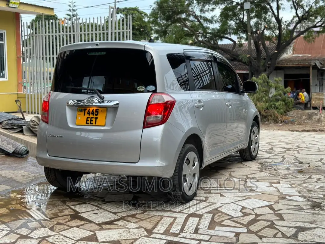 Toyota Ractis 2007 Silver