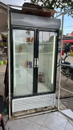 Display Fridge Ya Milango Miwil Kubwa