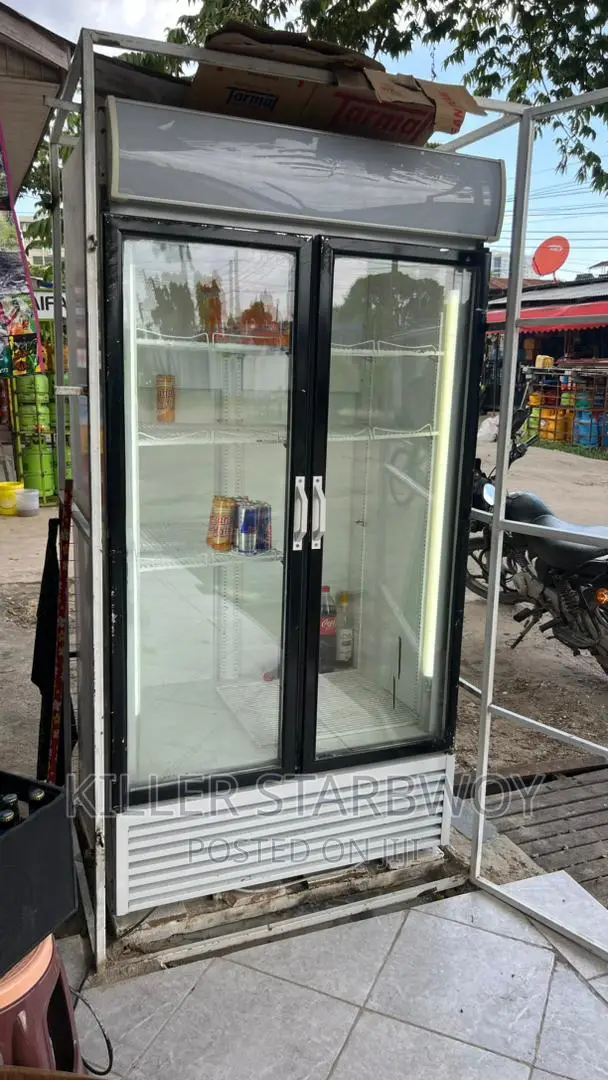Display Fridge Ya Milango Miwil Kubwa