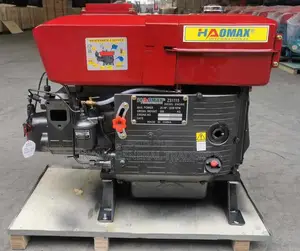 Diesel Engine 24hp
