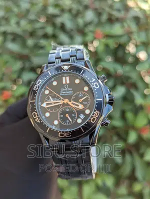Omega Watch Professional