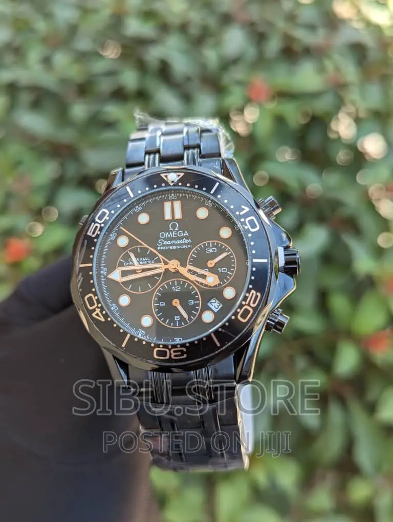 Omega Watch Professional