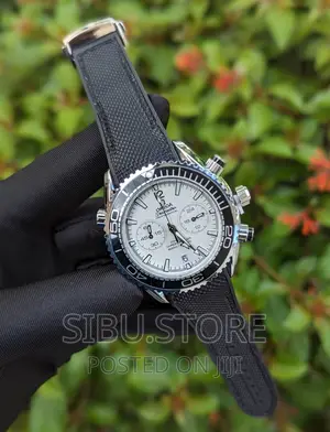 Omega Watch Professional