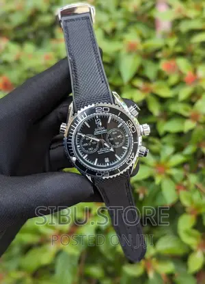 Omega Professional Watch
