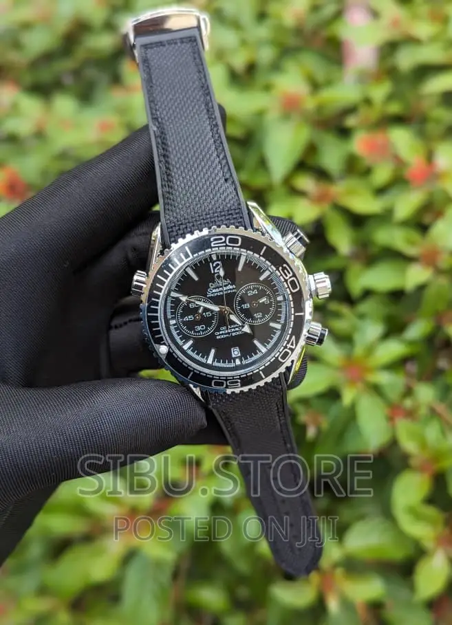 Omega Professional Watch