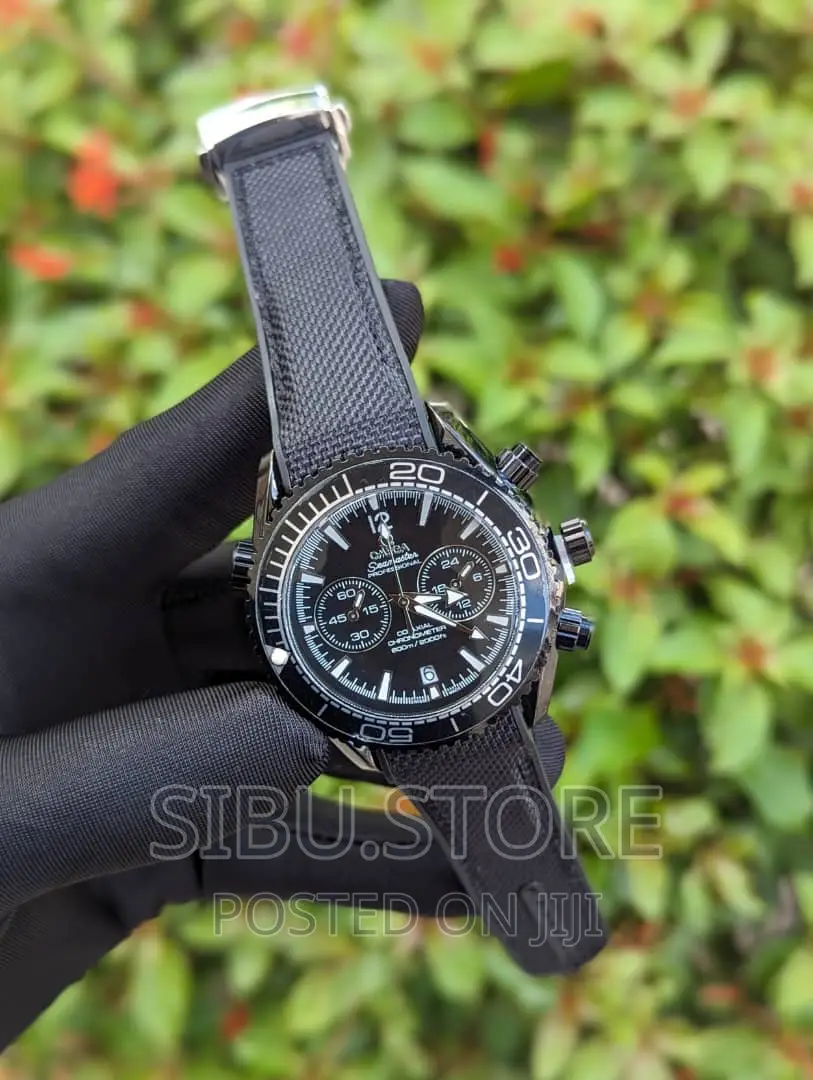 Omega Professional Watch