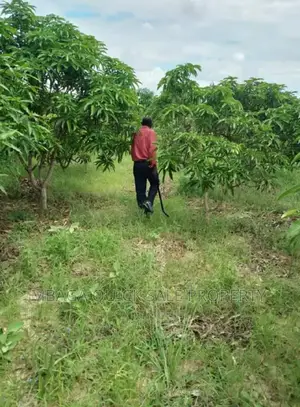 Plot Inauzwa Bagamoyo Kerege