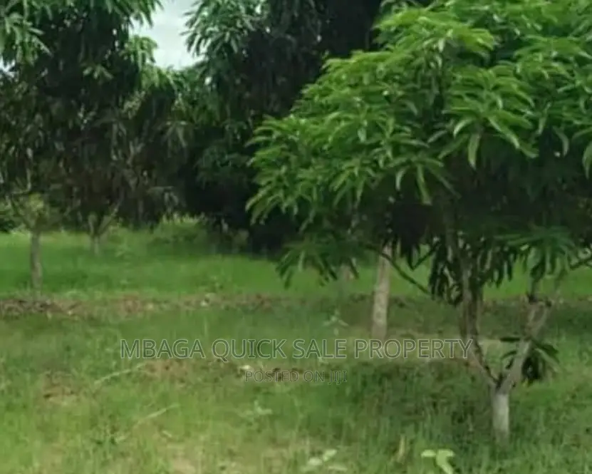Plot Inauzwa Bagamoyo Kerege