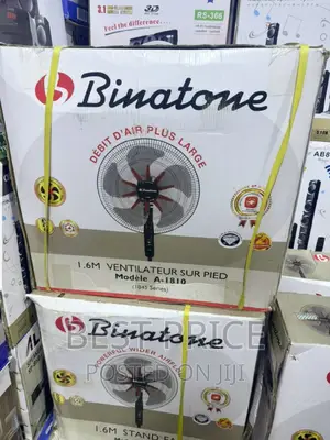 Binatone Standing Fan