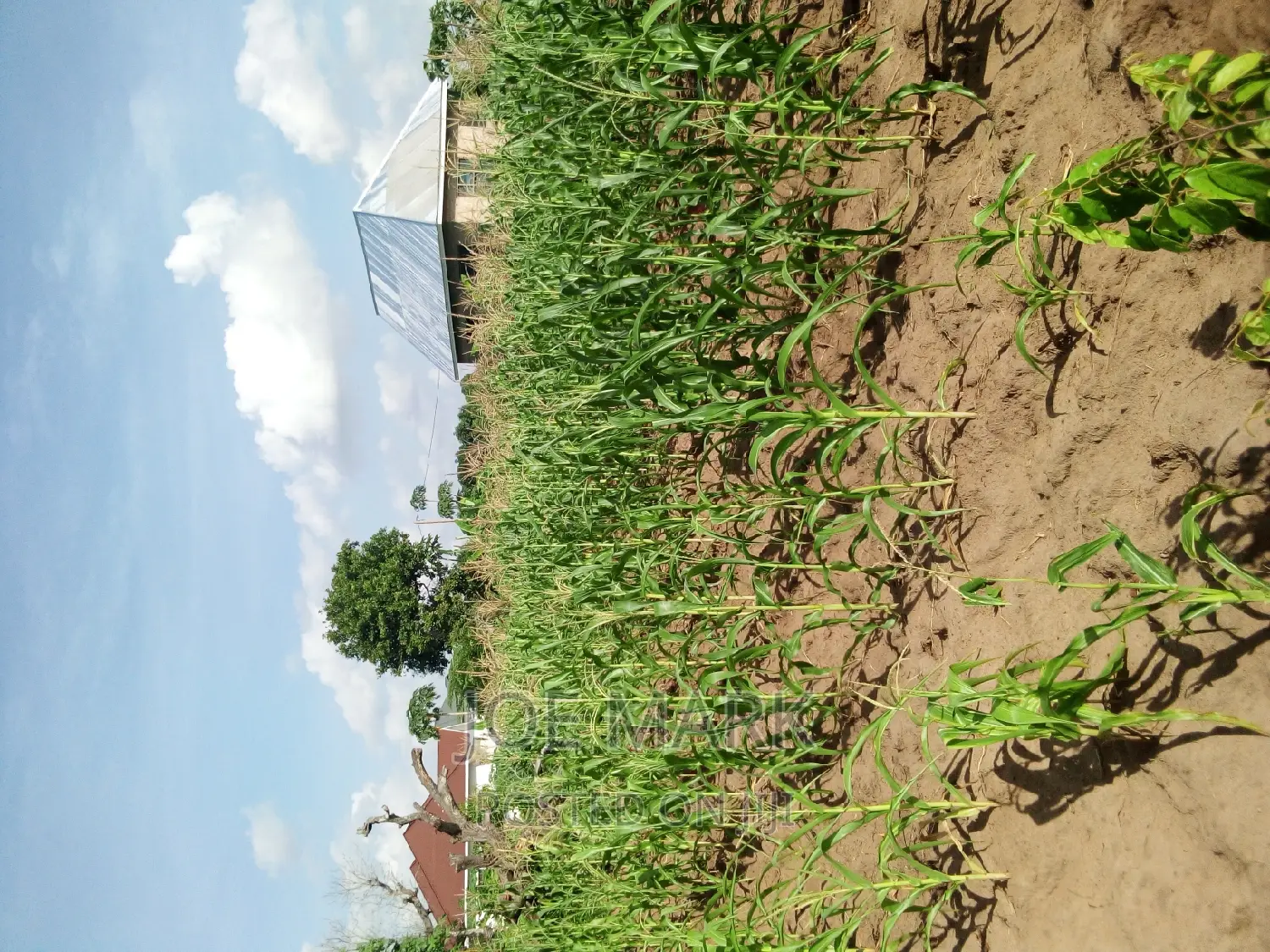 Plot for Sale Kibaha Kwa Mfipa
