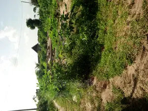 Plot for Sale Kibaha Kwa Mfipa