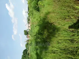 Plot for Sale Kibaha Kwa Mfipa