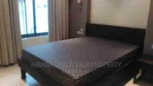 Furnished 4bdrm Apartment in Masaki for rent