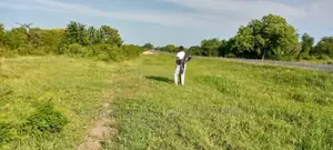 Big Plot for Sale Along the Main Road at Chalinze With 3 Acr