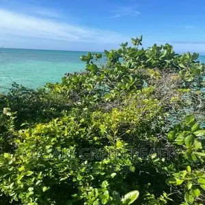 Plot for Sale at Pongwe Zanzibar
