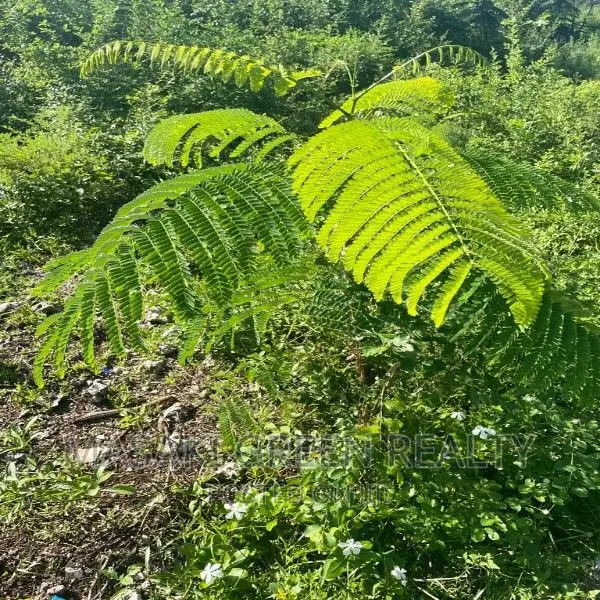 Plot for Sale at Pongwe Zanzibar