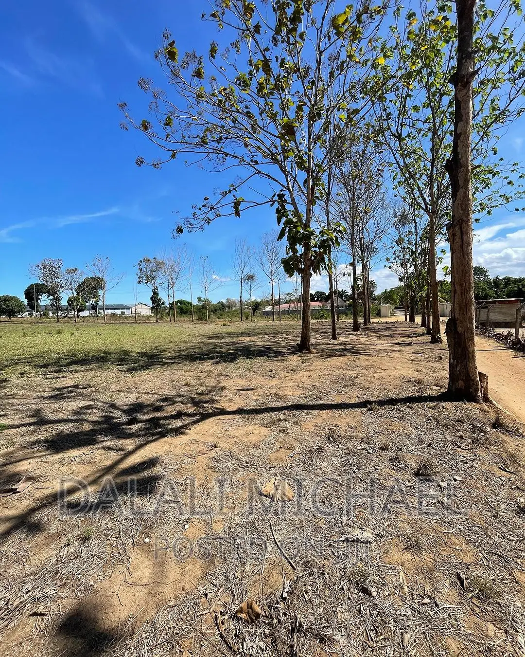 Six Acres for Sale Mapinga