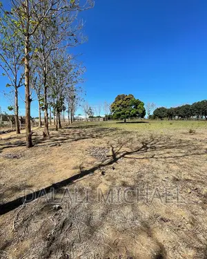 Six Acres for Sale Mapinga