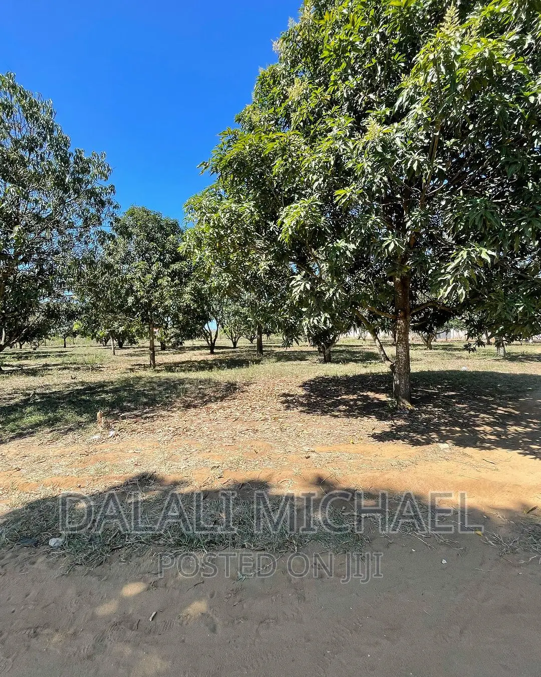 Six Acres for Sale Mapinga