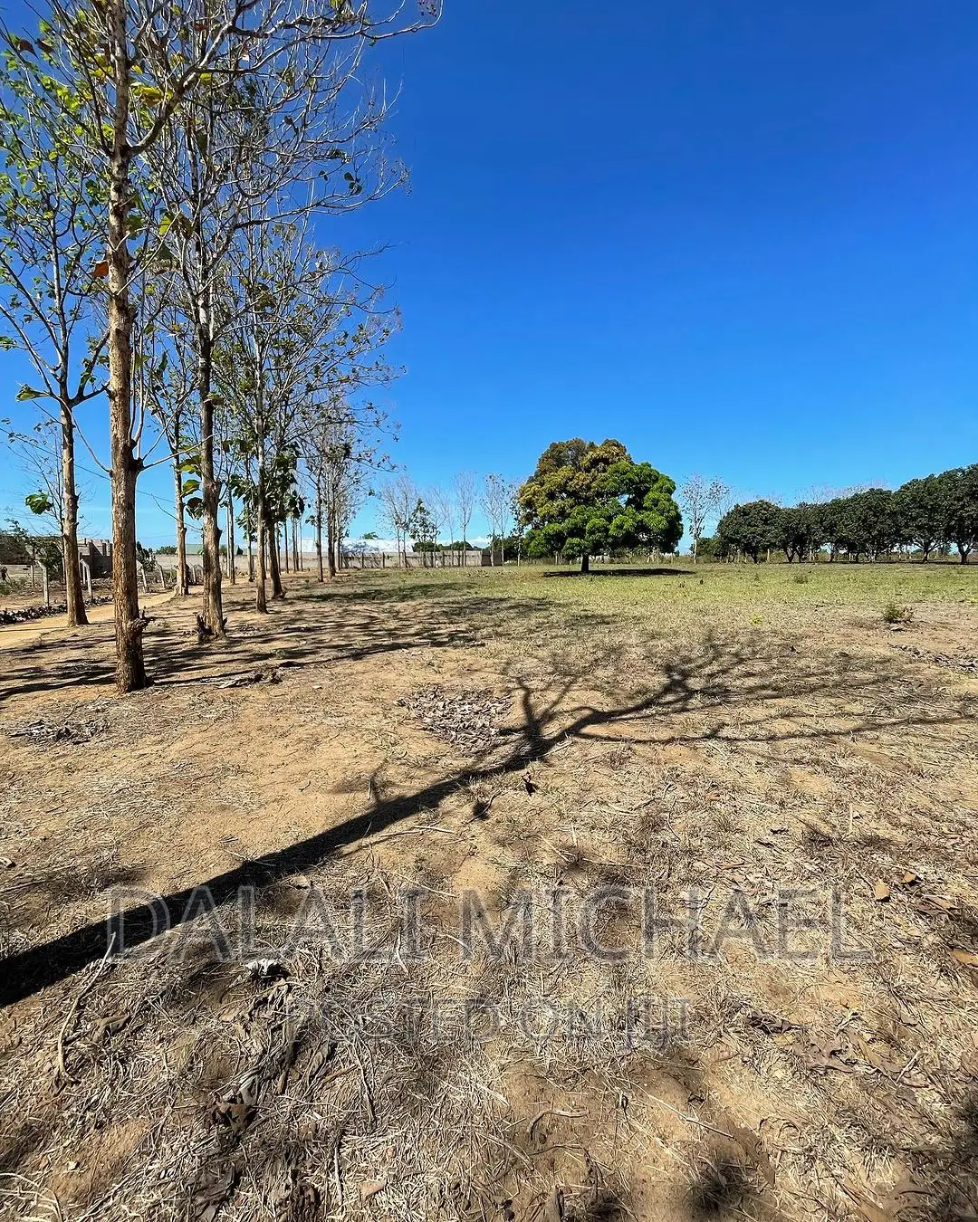 Six Acres for Sale Mapinga