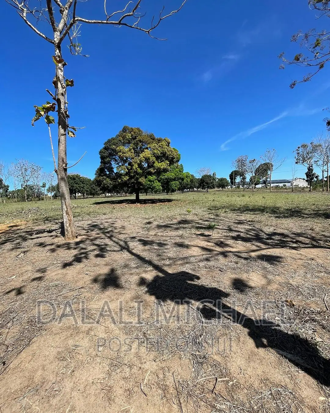 Six Acres for Sale Mapinga