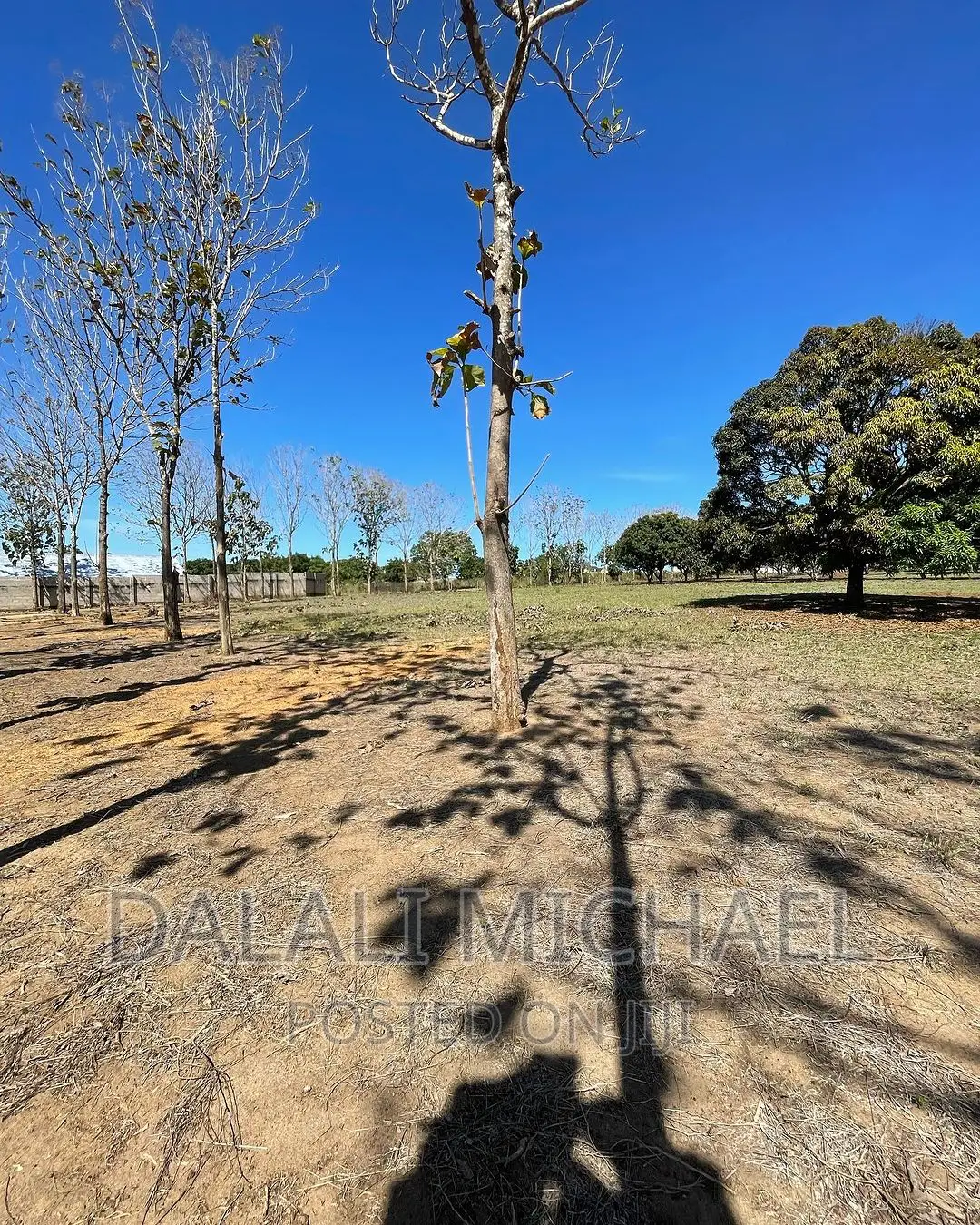 Six Acres for Sale Mapinga