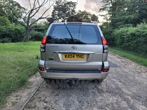 Toyota Land Cruiser Prado 2007 Silver