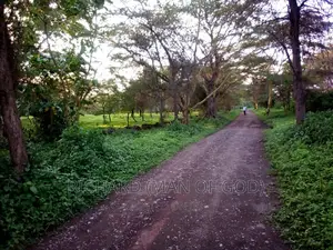 Land for Sale in USA River-Arusha Listing