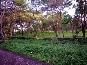 Land for Sale in USA River-Arusha Listing