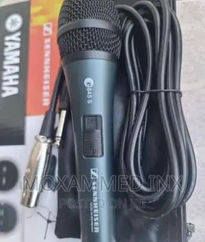 SENNHEISER E854s