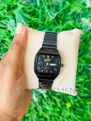 Casio Watch