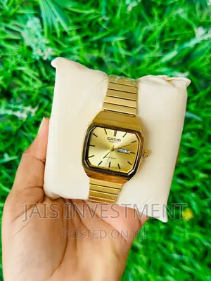 Casio Watch