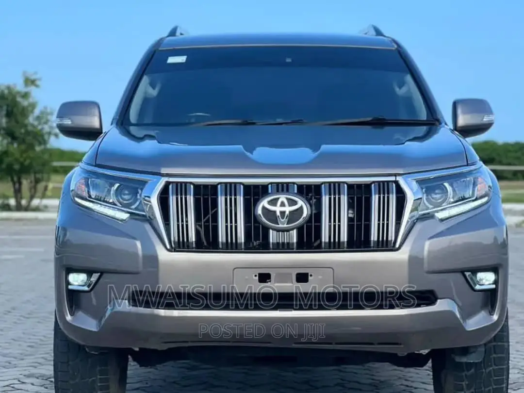 Toyota Land Cruiser Prado 2010 Gray