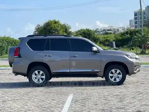 Toyota Land Cruiser Prado 2010 Gray