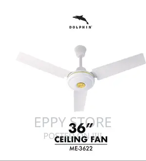 Ceiling Fan