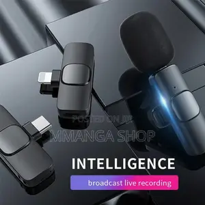 Wireless Microphone