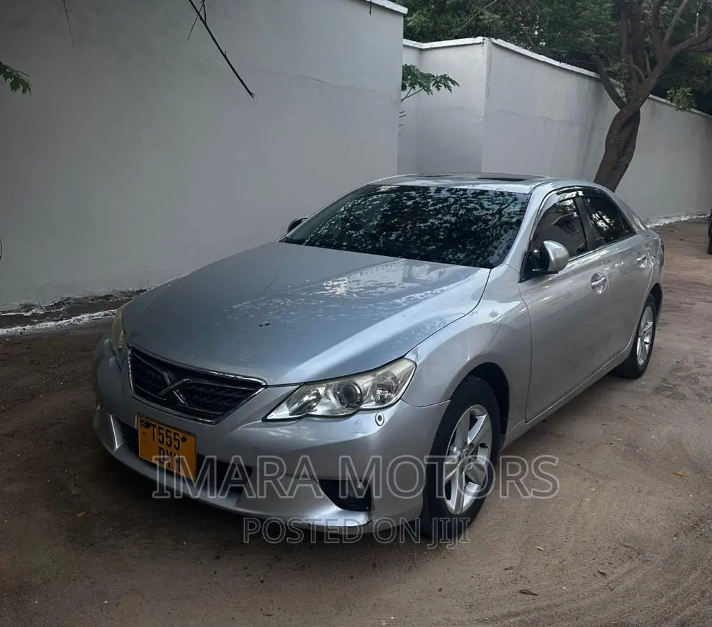 Toyota Mark X 2010 Silver