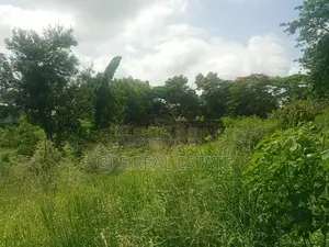Plot for Sale at Mbezi Louis ( Mbezi Mwisho Magufuli Stand )