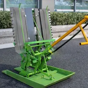 Rice Transplanting Mashing
