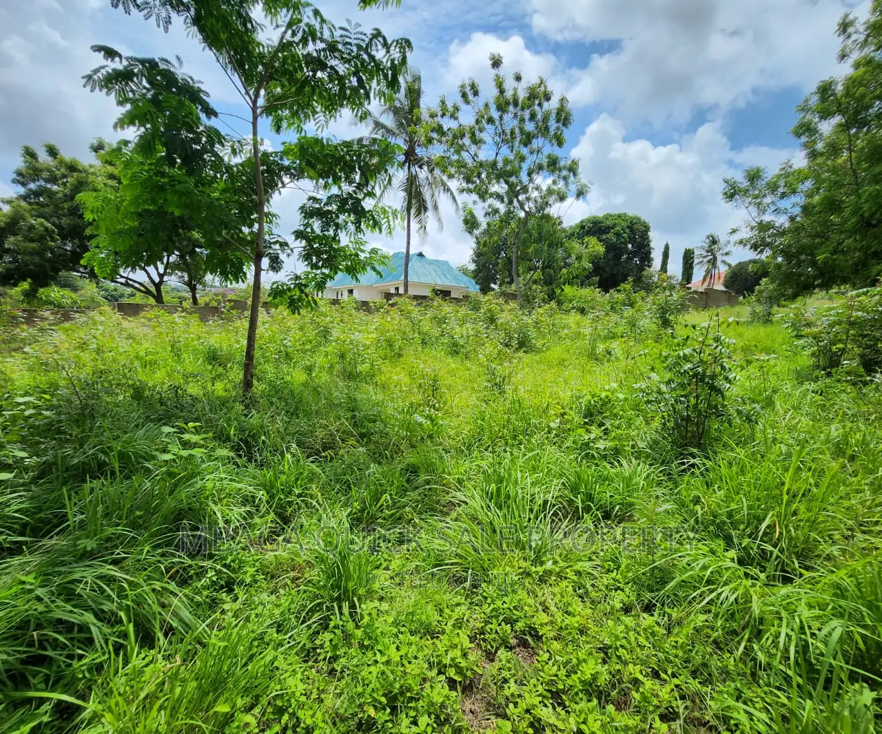 Plot for Sale at Salasala TSH 180,000,000mil Area Sqm1500