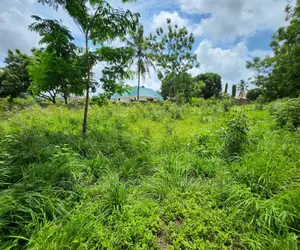 Plot for Sale at Salasala TSH 180,000,000mil Area Sqm1500