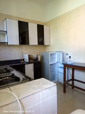 Furnished 1bdrm House in Mikocheni for rent