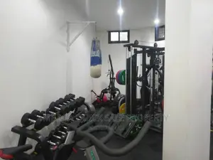 Furnished 1bdrm Apartment in Masaki for rent
