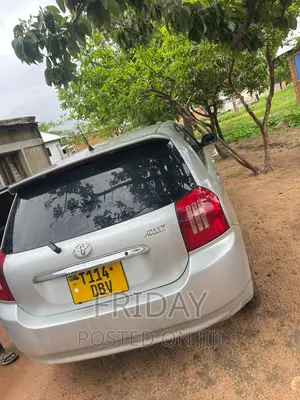 Toyota Allex 2003 Silver