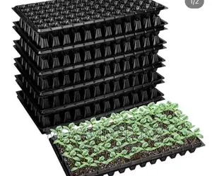 Tray of 50 Holes Seedling Tray