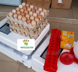 60 Super Incubator Machine