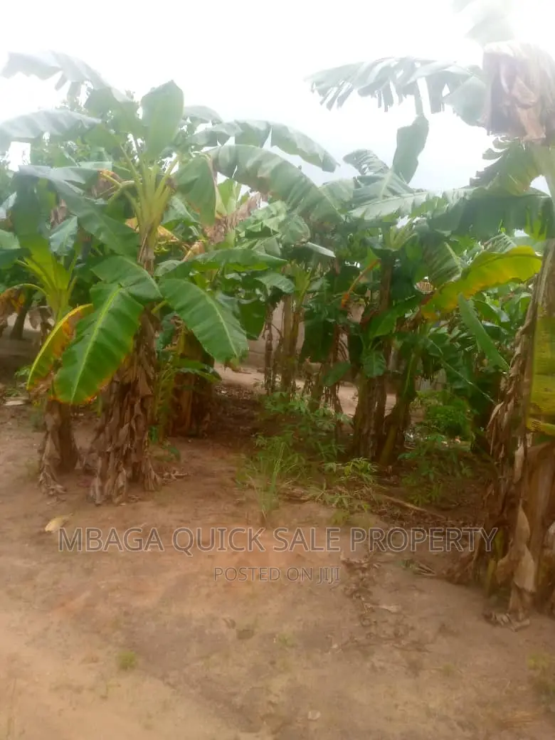 4bdrm House in Kibaha Madafu, Maili Mmoja for sale
