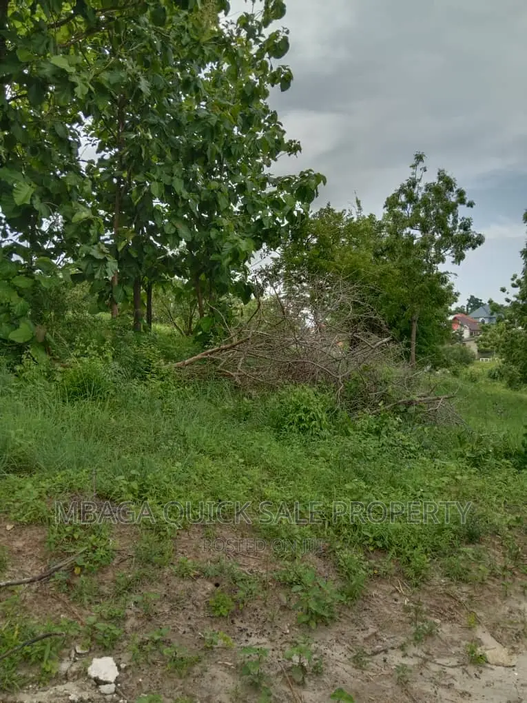 Plot for Sale at Salasala Big Brother