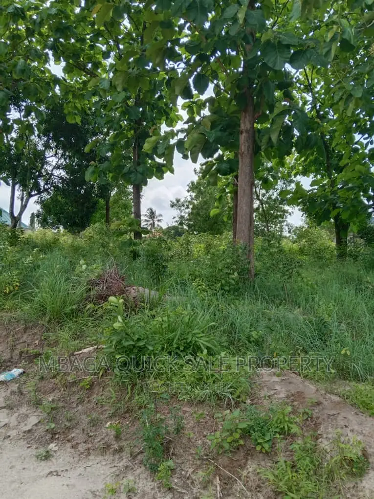 Plot for Sale at Salasala Big Brother
