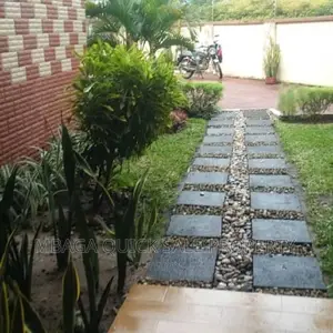 3bdrm House in Mikocheni for rent